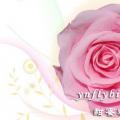 其它松柏杉竹