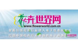 关于我们 关于我们