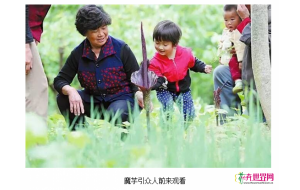 陕西：商洛一农民种植魔芋开花 属罕见
