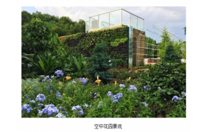 福建：西湖公园的“空中花园” 127种植物季节搭配