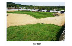 上海辰山植物园遇难题 花草植物莫名死亡 上海辰山植物园遇难题 花草植物莫名死亡