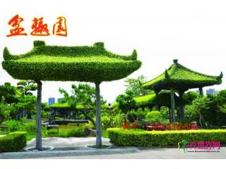 艺术树亭