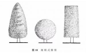 干货 | 绿化植物养护的技术集锦
