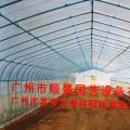 温室工程