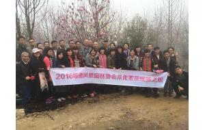 2016顺德区风景园林协会从化赏花之旅