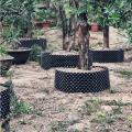快速移栽种植控根容器 控根器