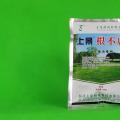 上景根不腐