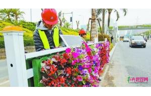 厦门园林绿化亮点：智能植物护栏首现湖滨西路