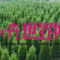其它松柏杉竹