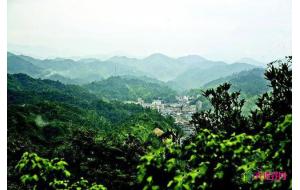 广东龙门:美化绿化让城市“颜值”更高了 广东龙门:美化绿化让城市“颜值”更高了