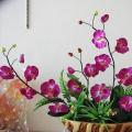 插花艺术