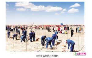 青海格尔木市：16000株新疆杨“落户”戈壁滩