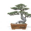 李白醉酒
