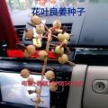 花叶良姜