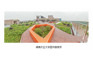 长沙芙蓉区全面推进屋顶绿化 三处花园亮相