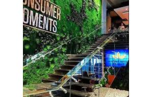 2020年7月26~28日 植物墙培训班 开放报名！