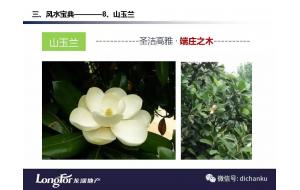干货 | 龙湖常用44种苗木风水宝典