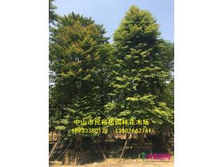 单杆子母树