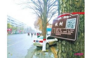 绿化树有了“身份证” 市民扫二维码能获更多知识
