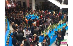 云南保山市第36届兰花博览会成功举办 云南保山市第36届兰花博览会成功举办