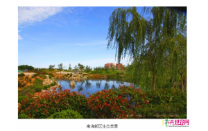威海南海新区景观亭等工程 提升生态“颜值” 威海南海新区景观亭等工程 提升生态“颜值”