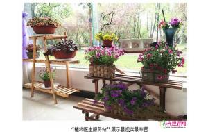昆明首个“植物医生服务站”亮相西华公园