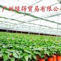 薄膜温室 pep利得膜