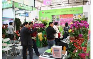 中国国际植物展