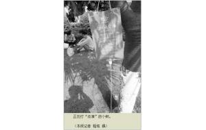 顺德陈村花卉世界为树木补充“营养”