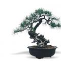 古干雄风