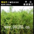 琴丝竹
