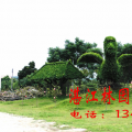 其它花坛花卉