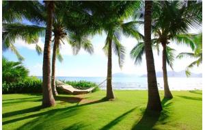 分享│+30℃的「Hotel?家」| 绿地「景观海南风」