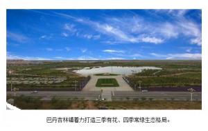 内蒙古:阿拉善盟农村牧区造林绿化基本完成 内蒙古:阿拉善盟农村牧区造林绿化基本完成