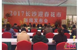 2017长沙“迎春花市”周末开市 500余个花卉品种供您挑选