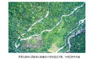 海南:300多棵“路中树”在无声诉说 海南:300多棵“路中树”在无声诉说