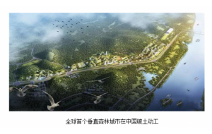 首个垂直森林城市在广西柳州开建