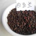 白玉兰