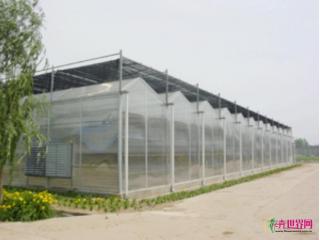 温室工程