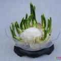 其它水生植物