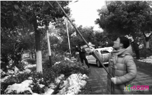 合肥蜀山区：七千余人清扫树木积雪