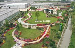 「金品新优品种展示花园」种植着许多你从未见过的植物(本次成都花境考察景点二）