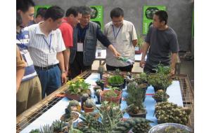 五一假期细品\"首届长三角多浆花卉展\"