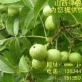核桃