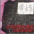 黄杨木