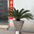 不锈钢花盆