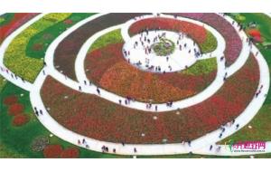 湖南省森林植物园：玫瑰花型花海