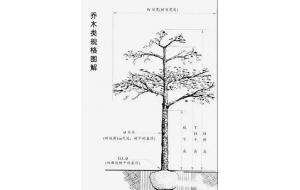 干货 | 83个常见“园林专业术语”，不了解这些怎么接工程？