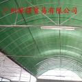 pep绿白膜