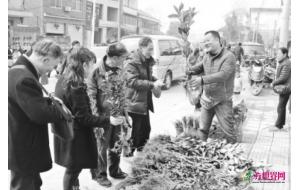 浙江建德：苗木赶“大集”花果齐全卖得好